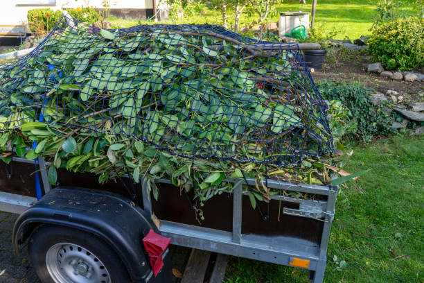 Moving and Downsizing Cleanouts in Warrensburg, IL